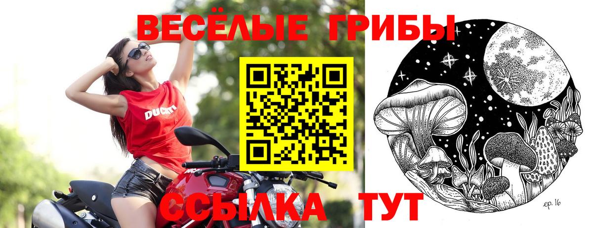 Еманжелинск  Псилоцибиновые грибы мухоморы  Галлюциногенные грибы Cubensis  Вход с VPN 
